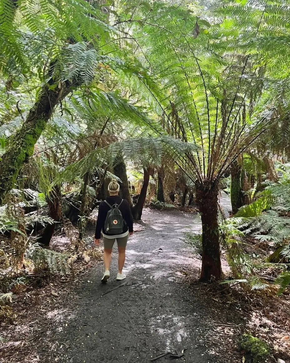 Great Otway National Park