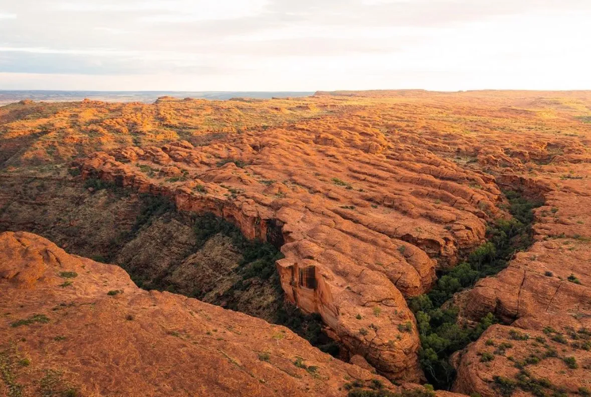 Kings Canyon Rim Walk