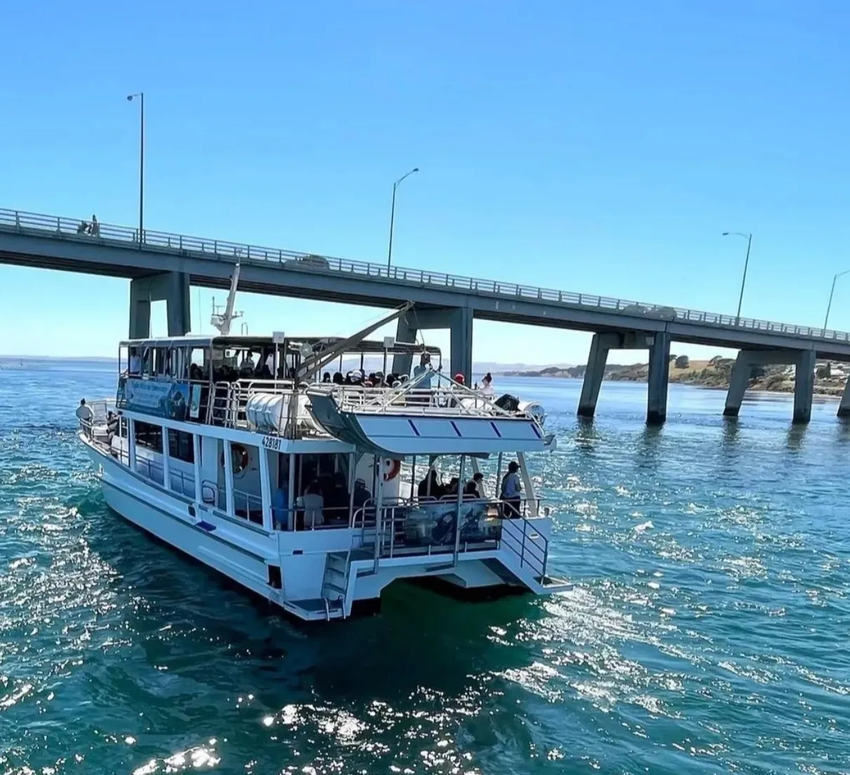 Wildlife Coast Cruises