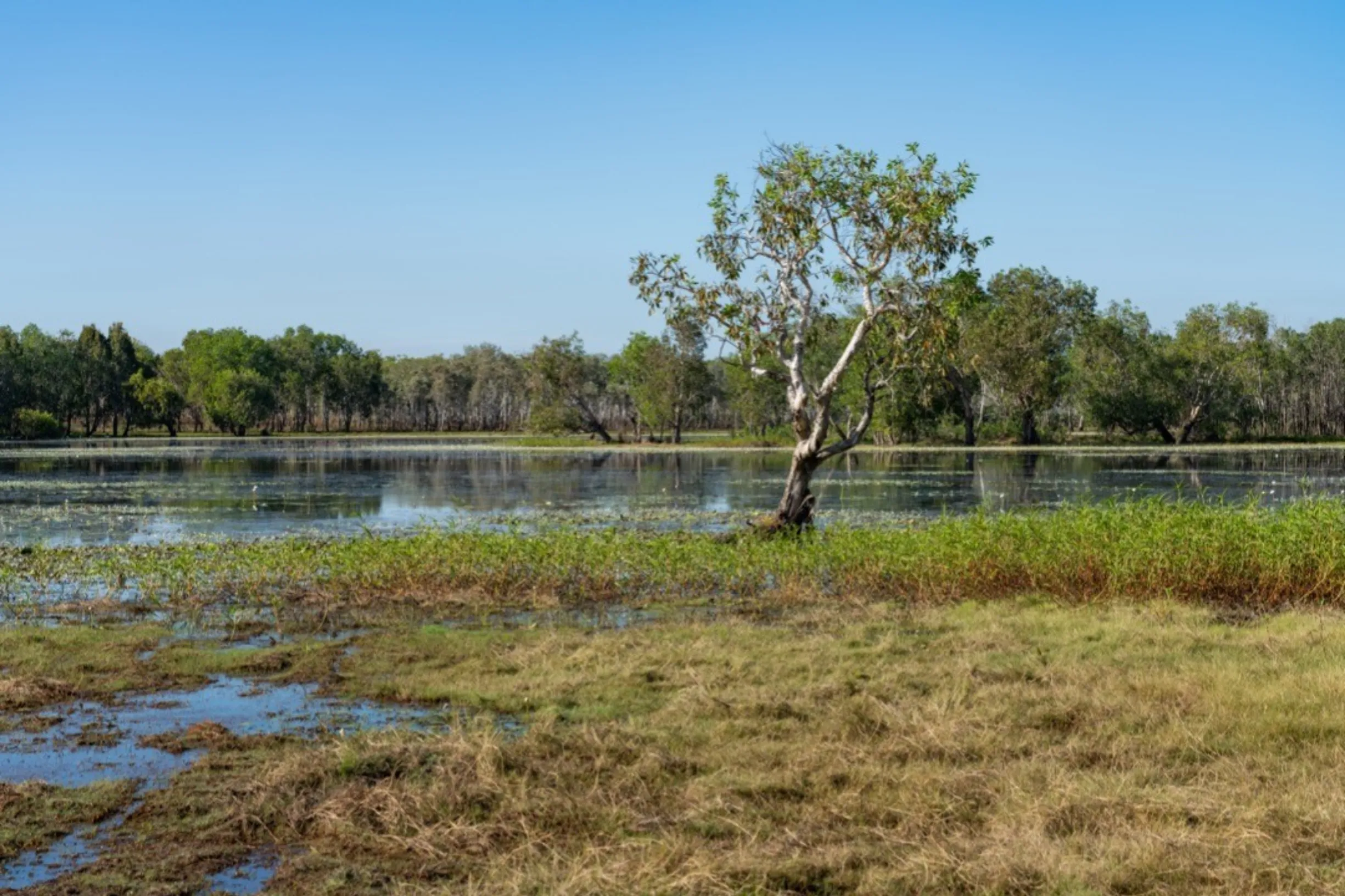 major river systems