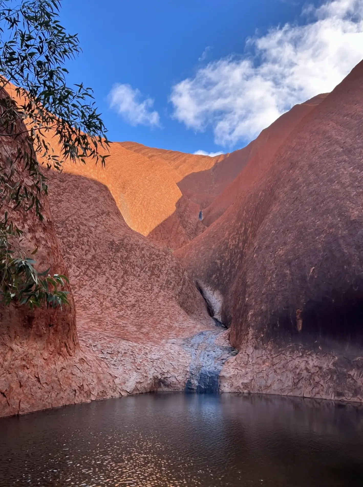 Kata Tjuta domes