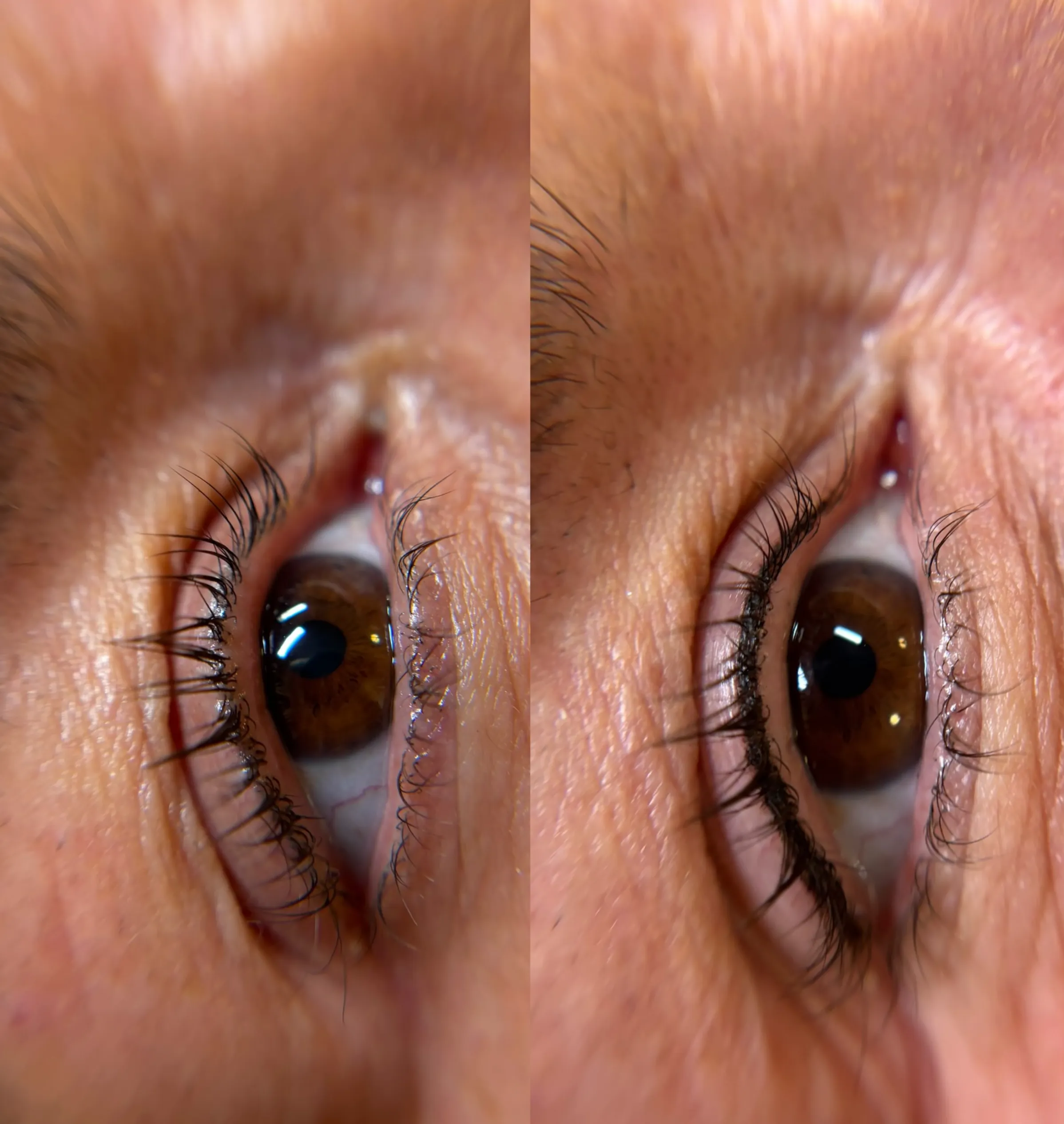 nano brows Melbourne