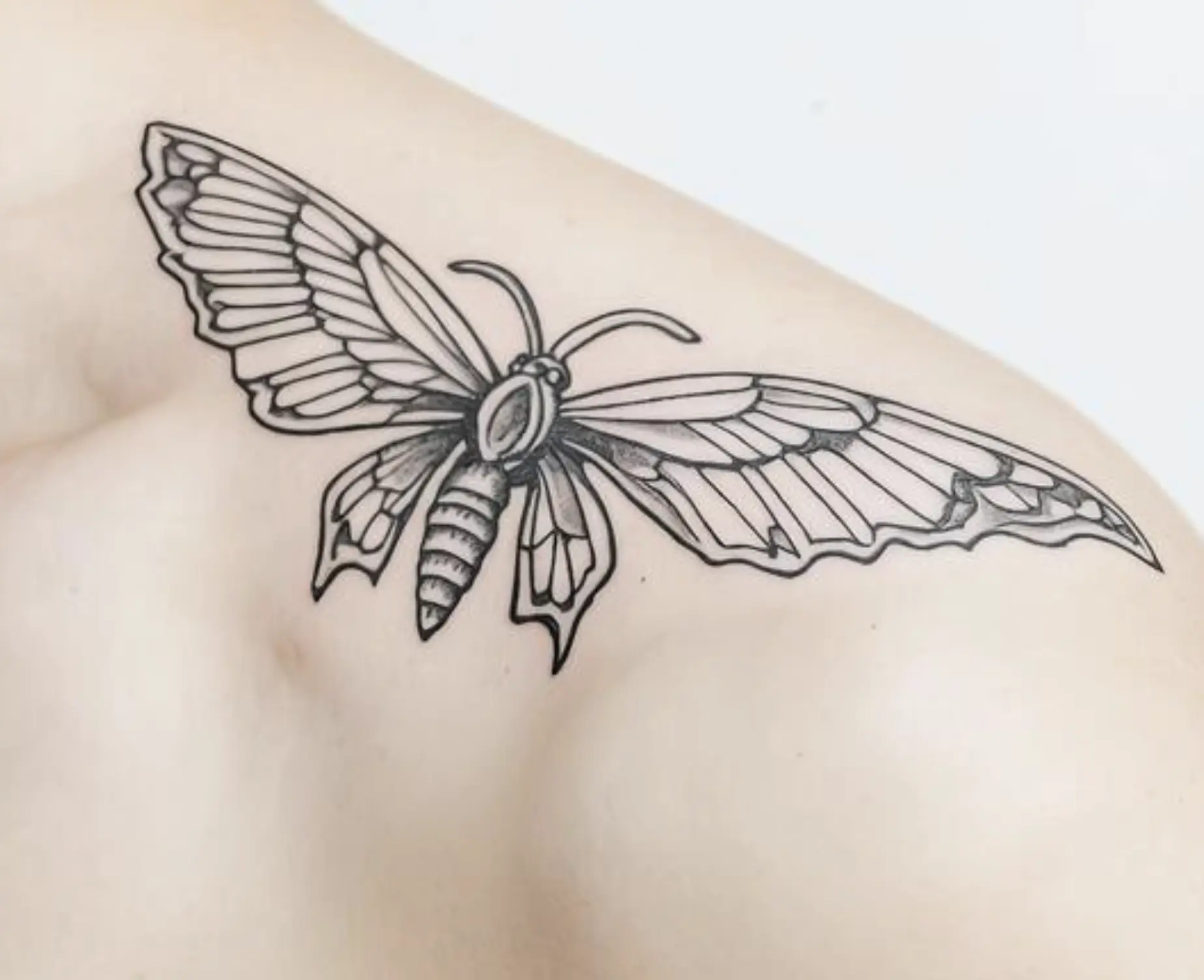 fine line tattoo artist course
