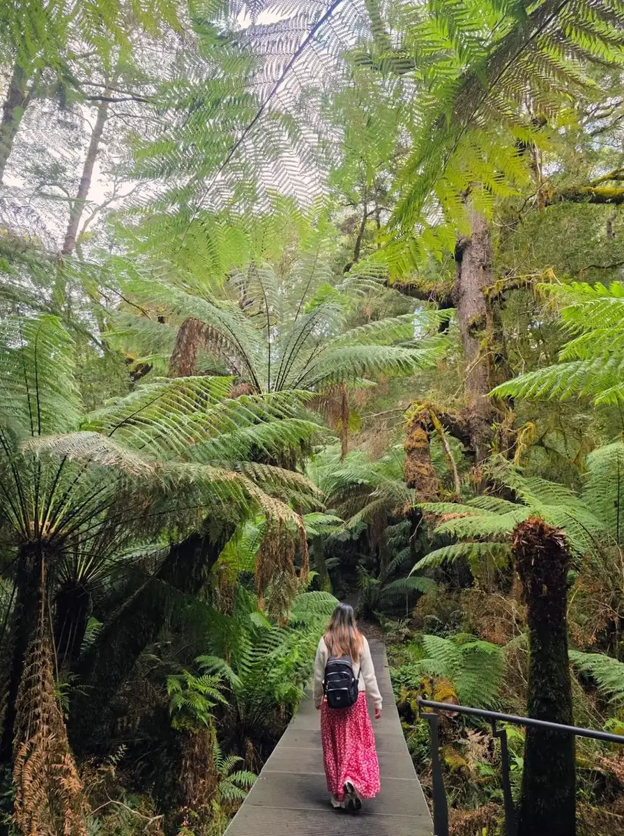 2 day great ocean road tour