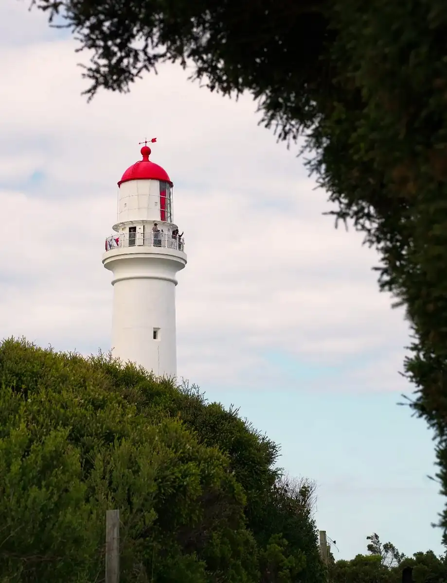 3 day great ocean road tour